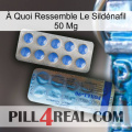 À Quoi Ressemble Le Sildénafil 50 Mg 40